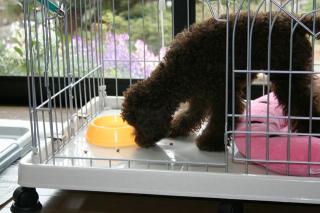 朝からモリモリ