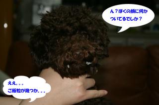 顔にお弁当が。。。