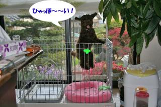ひゃっほ～い