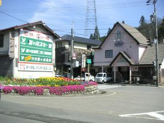 高鷲村の芝桜とチューリップ