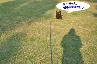 影ふみしよ～