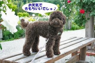 きもちいい～～♪