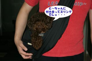 ドッグスリング１