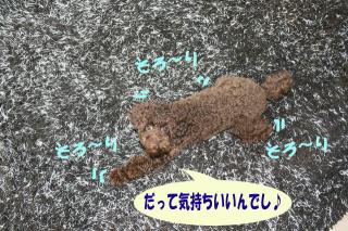 だって気持ちいいんでし♪