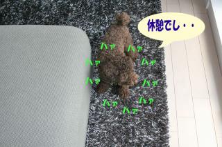 休憩でし・・・