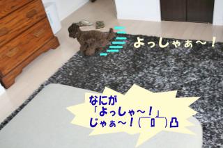 よっしゃぁ～！