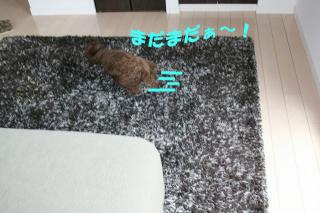 まだまだぁ～！