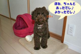 ほねあったでし！