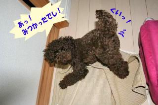 みつかった～！