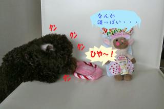 クン　クン　クン