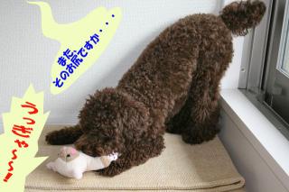 その格好か。。。。