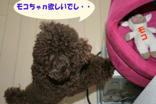 おもちゃ取って～！