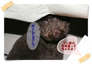 なにしてるでしゅ？