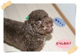 がうっ
