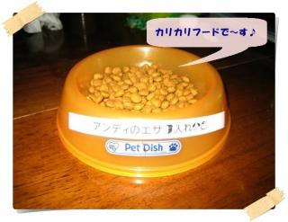 フードボウルです♪