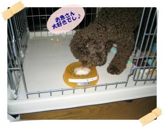 クンクン、美味しそうでし♪