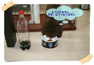 いけるかも・・・。