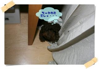疲れたでしゅ。。