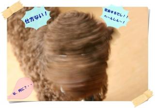 へんし～～ん！