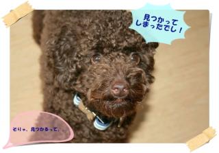 みつかった～！