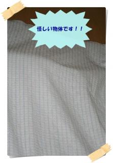 これはなんじゃ？！