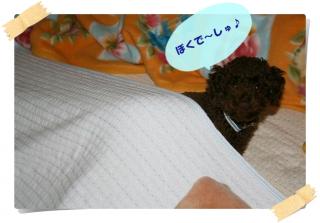 ぼくで～しゅ♪