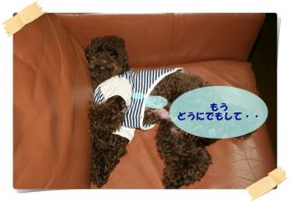 どうにでもして・・・