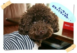 むちゃくちゃやわ。。