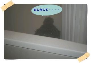 もしかして・・・