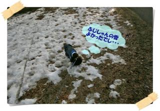 雪でし♪