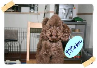 なんかスースー。。。