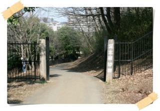 湿生植物園