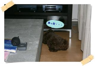あった・・・