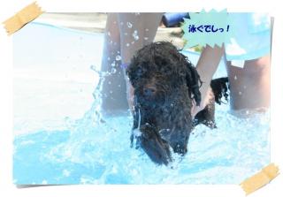 プール７