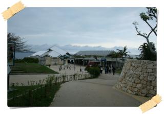 美ら海水族館１