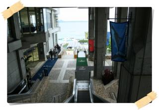 美ら海水族館２