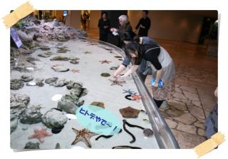 美ら海水族館３