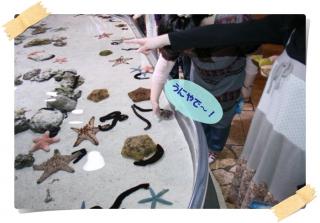 美ら海水族館４