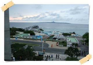 美ら海水族館６