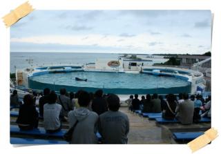 美ら海水族館７