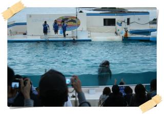 美ら海水族館２０