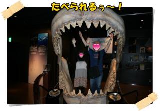 美ら海水族館１７