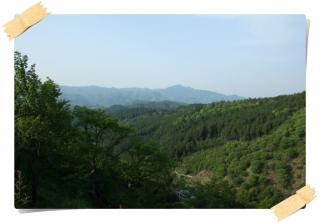 吉野山(6)