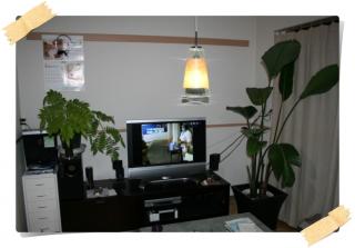 リュウビンタイ(2)