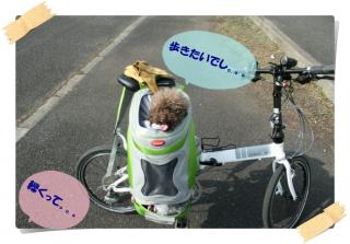 サイクリング