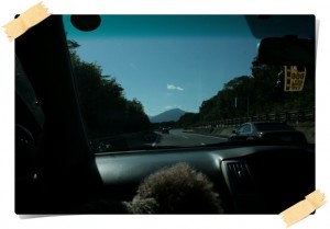 とってもいい天気でし