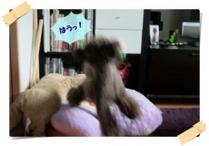 はうっ！