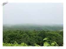 IMG 0244S