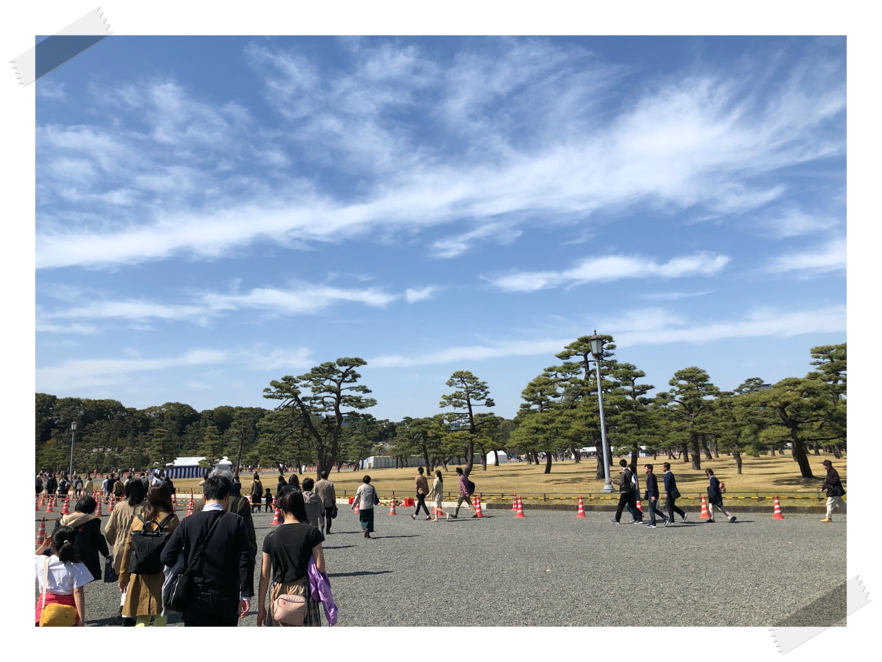 IMG_3962S.jpeg IMG 3962S