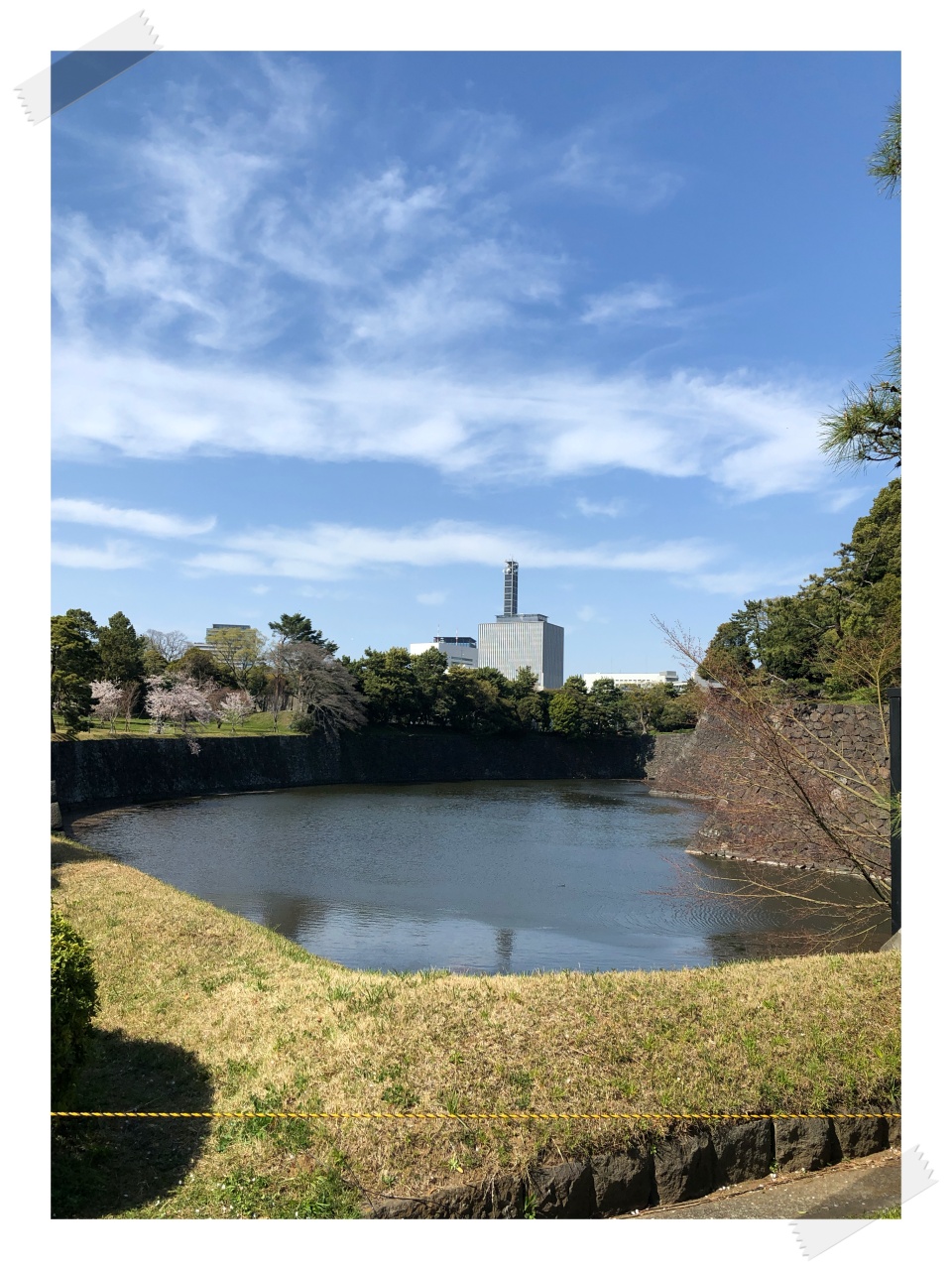 IMG_3970S.jpeg IMG 3970S